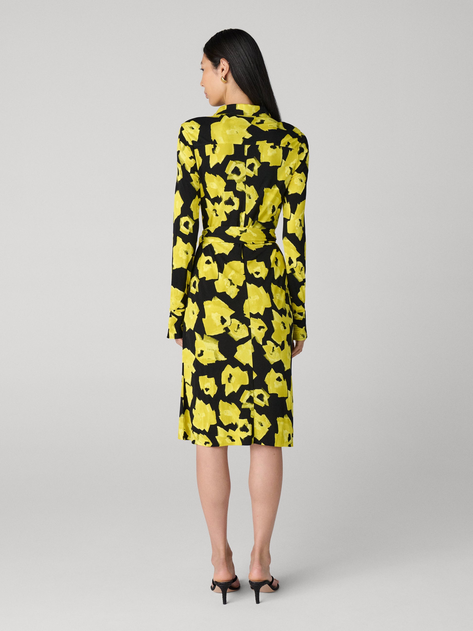 Diane Shirt Dress