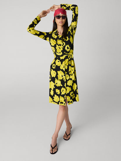 Diane Shirt Dress