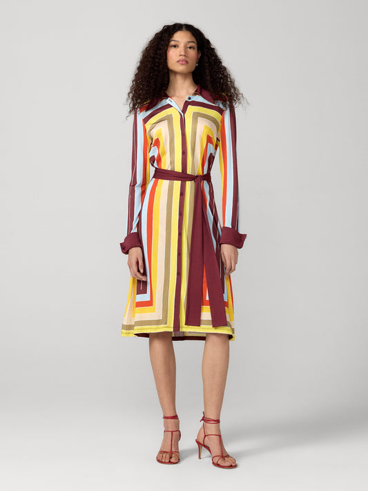Diane Shirt Dress