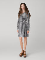 Prita Silk Georgette Shirt Dress